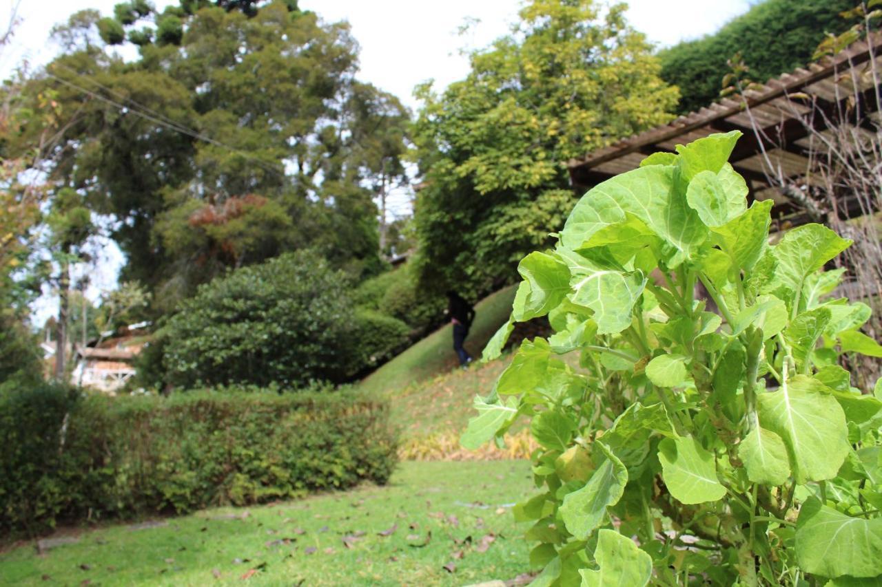 Casa Aconchegante No Capivari Campos do Jordão Exterior foto
